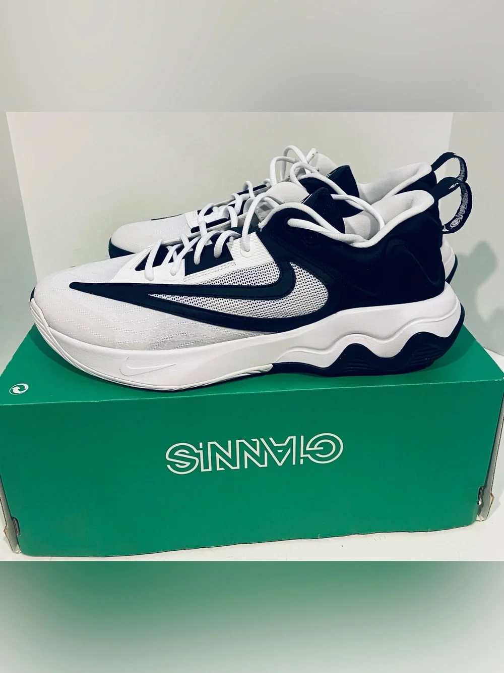 N/A nike giannis